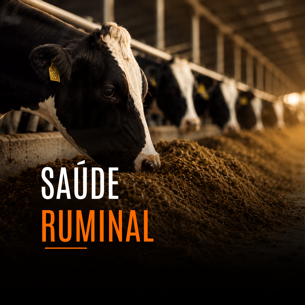 Saúde Ruminal