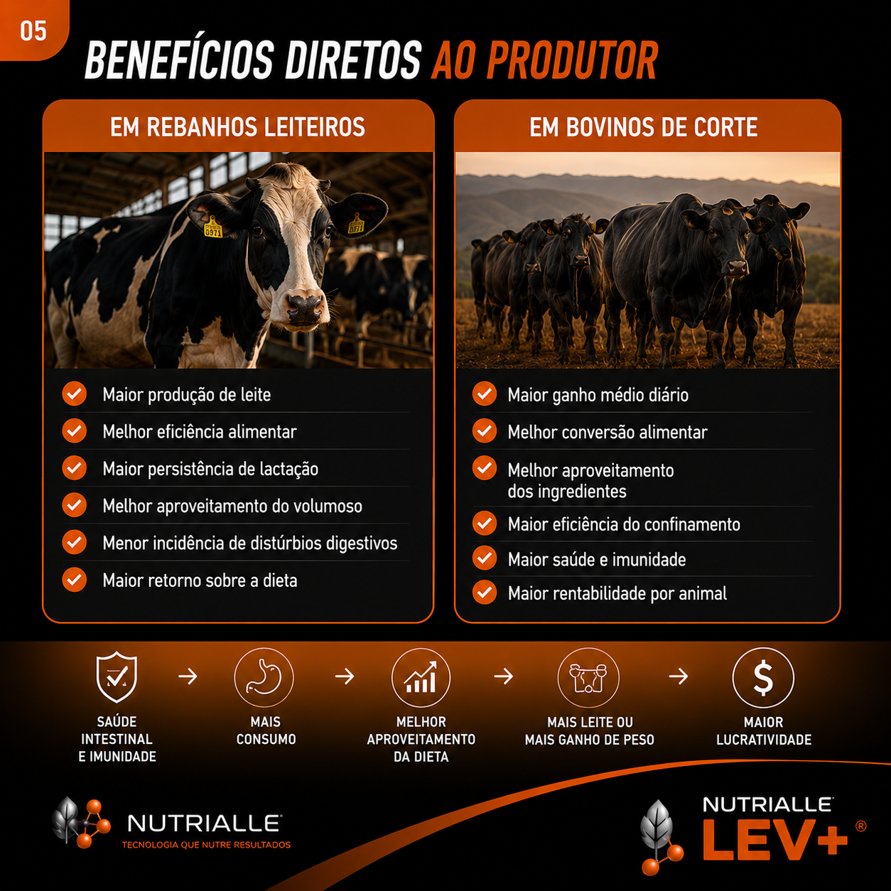 Imagem 5
